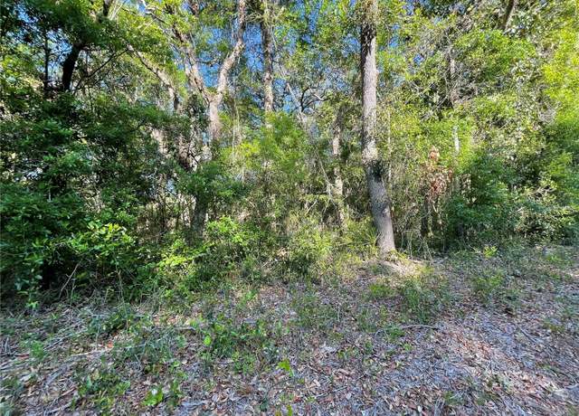 Property at Lot 3 NW 82 Ct, Chiefland, FL 32626