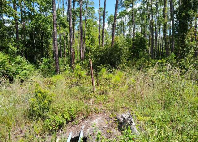 Property at 3734 Clove Ave, Bunnell, FL 32110
