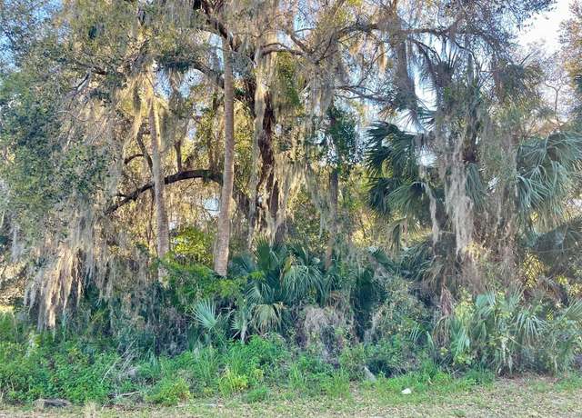 Property at Osteen Maytown Rd, Osteen, FL 32764