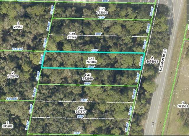 Property at Treiman Blvd, Webster, FL 33597