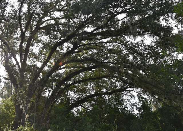 Property at Off 166th Ave, Williston, FL 32696