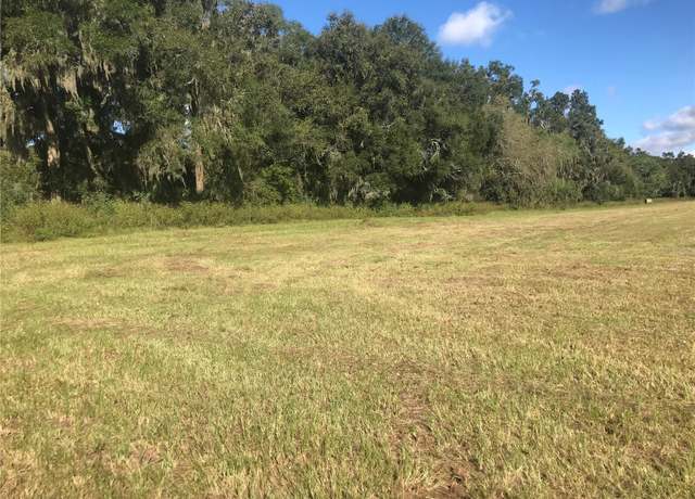 Property at 32nd Ct, Reddick, FL 32686