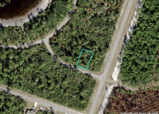 Property at TBD Fisher Loop Run, Ocklawaha, FL 32179