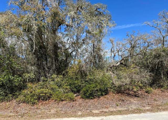 Property at 0 Riverstone St Lot 26, Webster, FL 33597