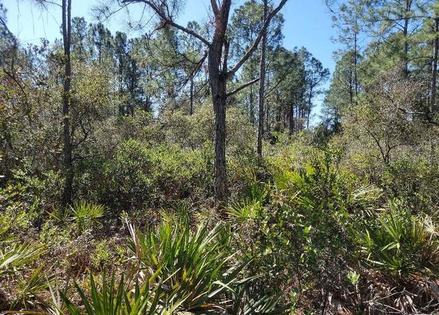 Property at Undisclosed address, Astor, FL 32102