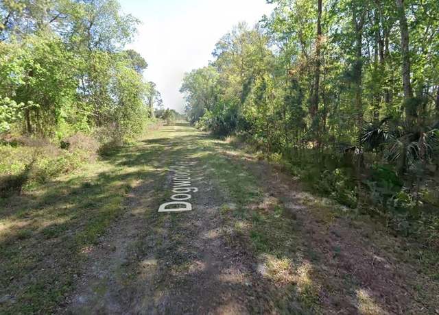 Property at 423 Dogwood Ave, Georgetown, FL 32139