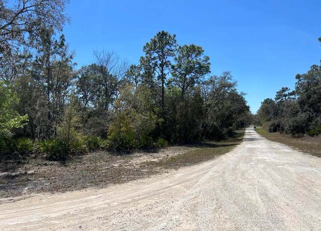 Property at 0 Northwest Ave Lot 32, Webster, FL 33597