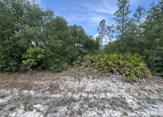 Property at 18167 Parakeet Rd, Weeki Wachee, FL 34614