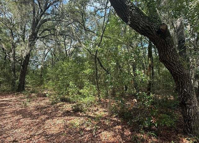 Property at LOT 132 Duncan Ave, Interlachen, FL 32148