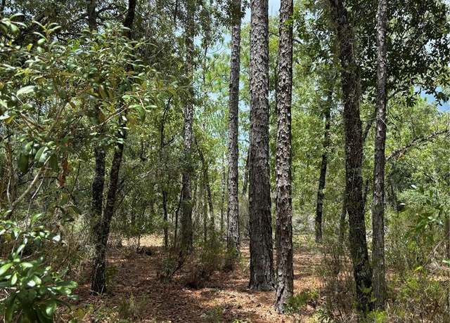 Property at 001 NE 110th Ave, Williston, FL 32696