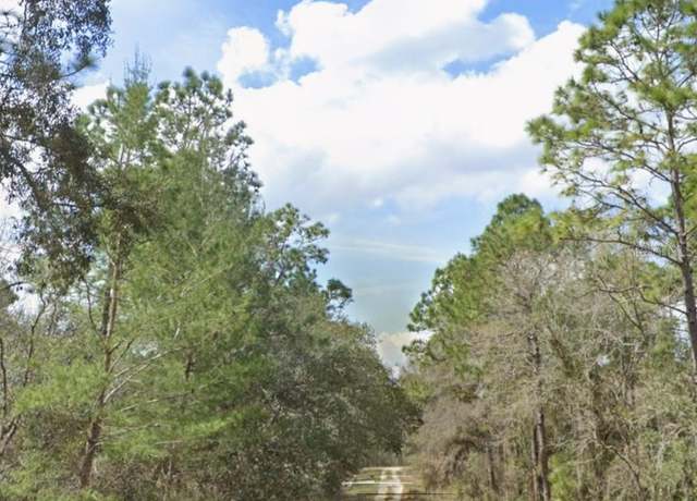 Property at SW 95th Pl, Dunnellon, FL 34431