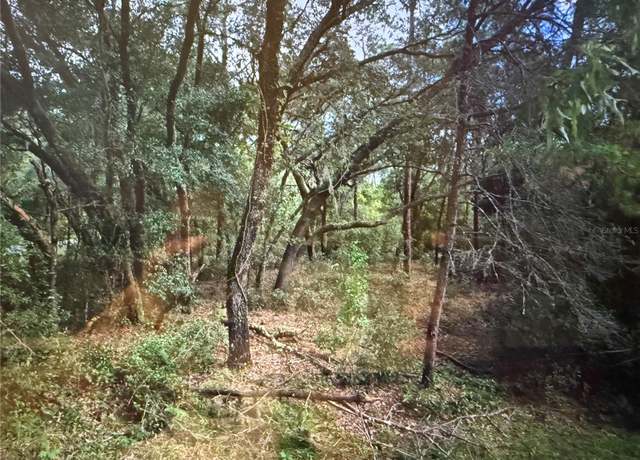 Property at 0 NE 117th Ave Ave, Fort Mc Coy, FL 32134