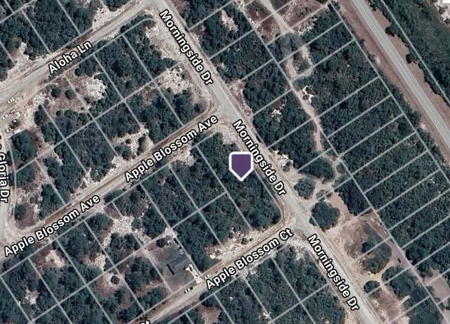 Property at 459 Apple Blossom Ave, Lake Placid, FL 33852