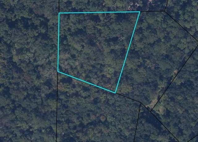Property at Stoney Ln, Middleburg, FL 32068