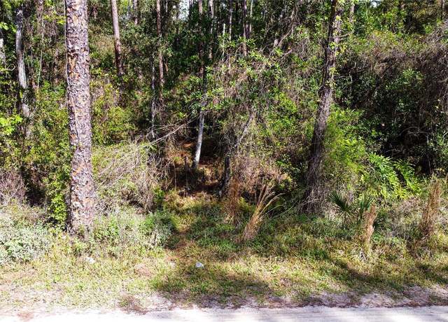 Property at Quail Ranch Rd, New Smyrna Beach, FL 32168