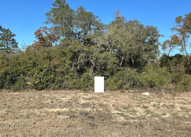Property at 0 SW 165th Loop, Ocala, FL 34473