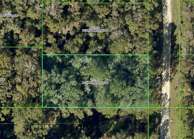Property at Lot 3 Carolina Dove Rd, Weeki Wachee, FL 34614