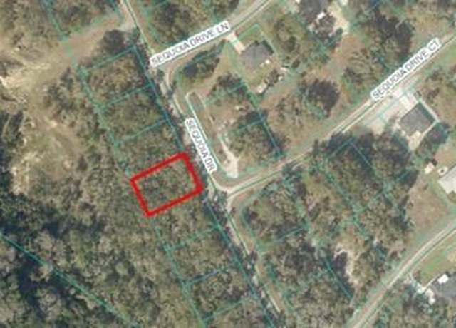 Property at 00 Sequioa Dr, Ocklawaha, FL 32179