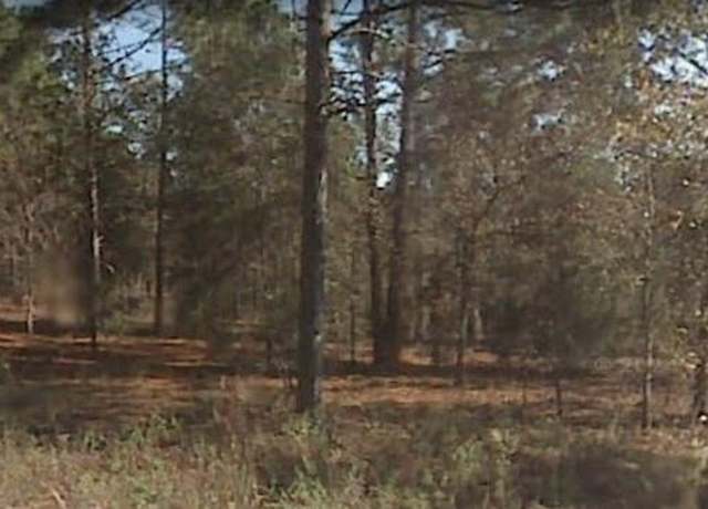 Property at TBD SW 156th Ct Lot 22, Ocala, FL 34481