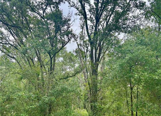 Property at 714 Longwood Ave, Inverness, FL 34453