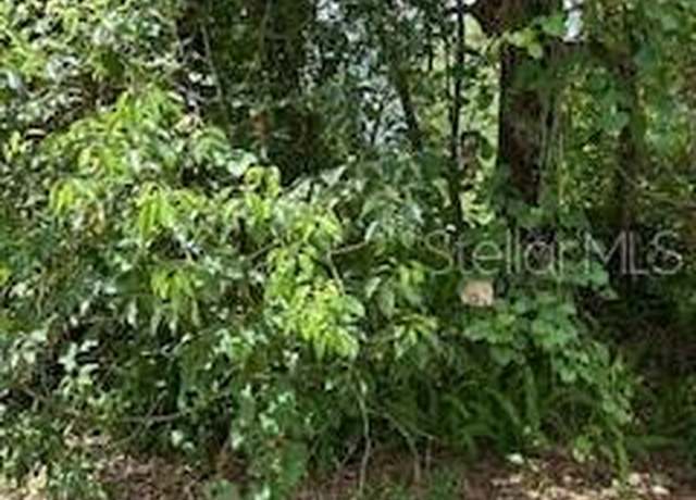 Property at King Ave, Zellwood, FL 32798