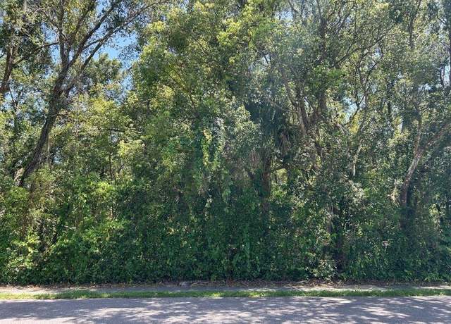 Property at King Ave, Zellwood, FL 32798