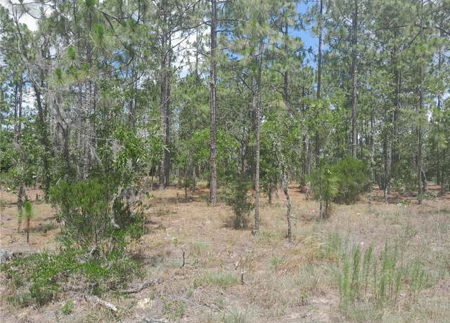 Property at TBD NE 149th Ct, Williston, FL 32696