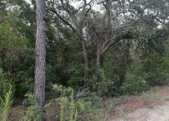 Property at tbd NE 87th Pl, Bronson, FL 32621