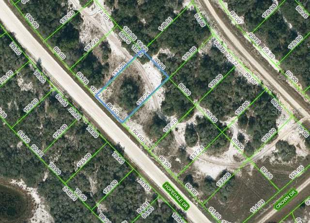 Property at 269 Hopedale Dr, Lake Placid, FL 33852