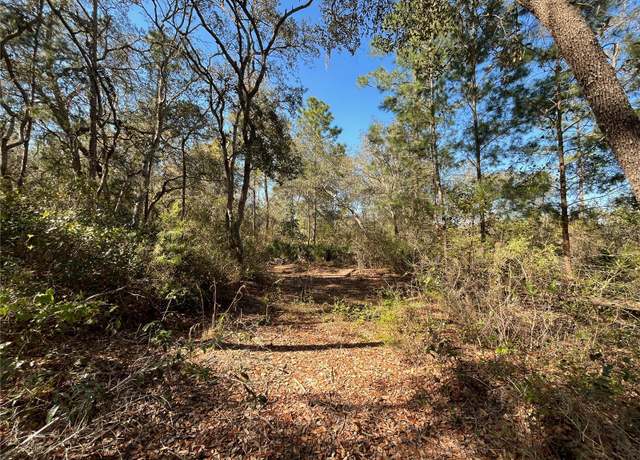 Property at 100 Sharon Dr, Satsuma, FL 32189