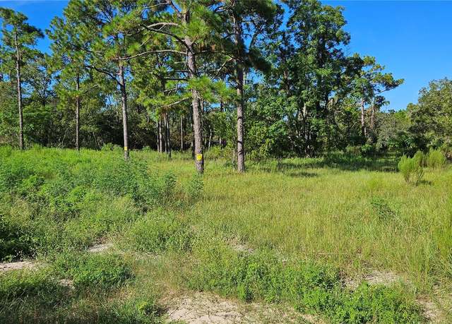 Property at 5462 S Clara Pt, Homosassa, FL 34446