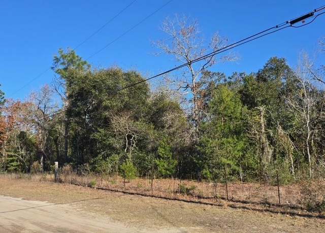 Property at 7195 Gas Line Rd, Keystone Heights, FL 32656