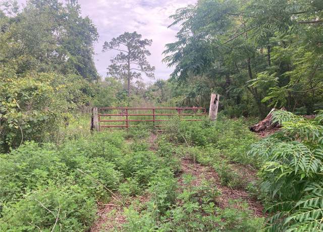 Property at 10553 Hazel Ave, Hudson, FL 34669