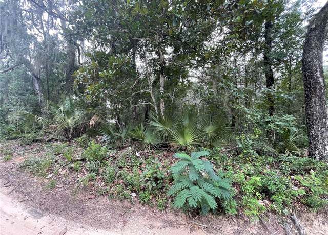 Property at TBD NE 199th Pl, Fort Mc Coy, FL 32134