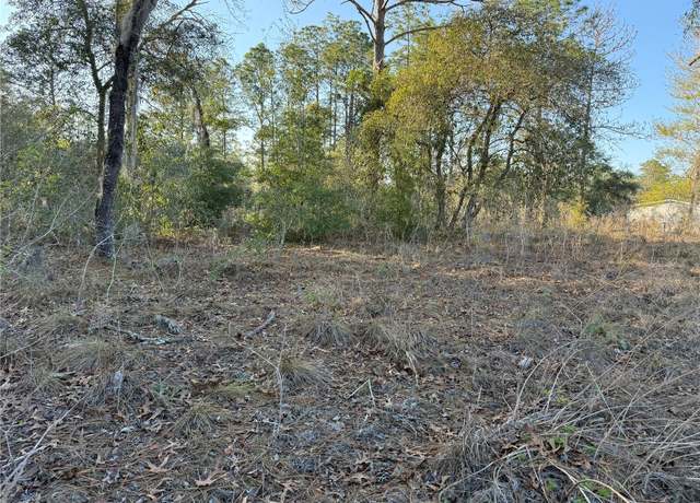 Property at 00 SW 165th Ave, Ocala, FL 34481