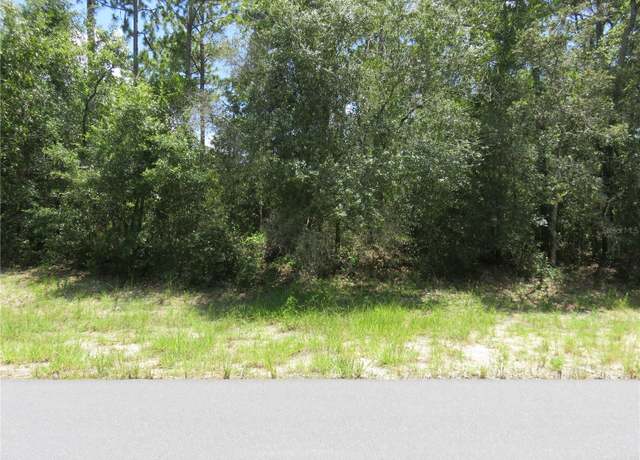 Property at 00 SW 132nd Pl, Ocala, FL 34473