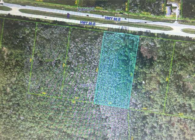 Property at 60 E St, Lake Wales, FL 33898