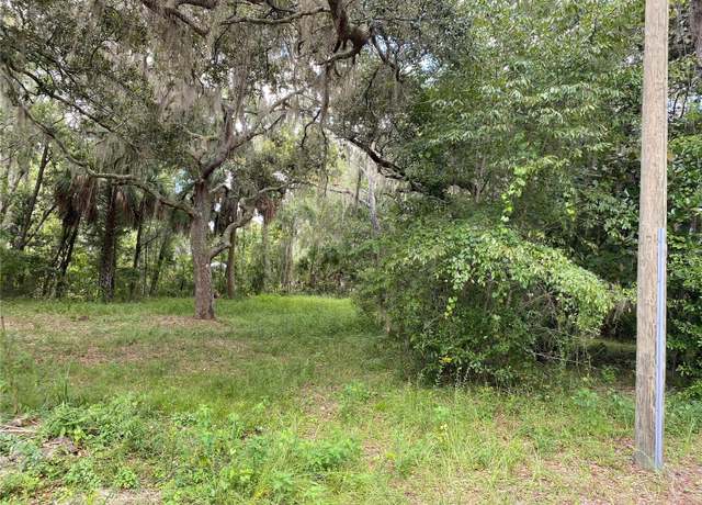 Property at CR 448c, Lake Panasoffkee, FL 33538