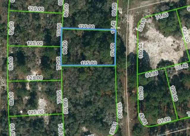 Property at 244 Blue Horizon Dr, Lake Placid, FL 33852