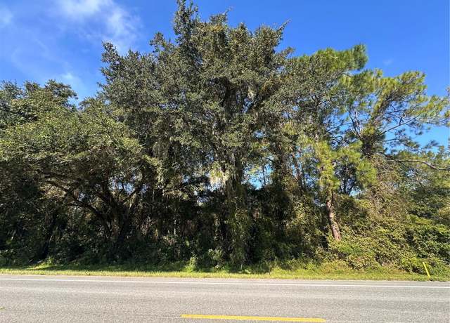 Property at Treiman Blvd, Webster, FL 33597