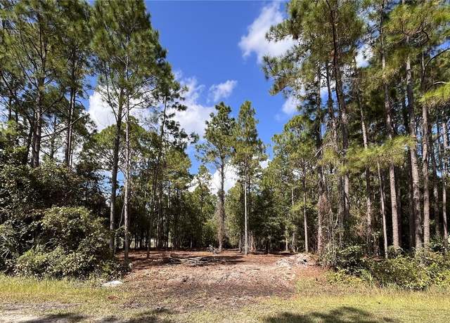 Property at 4192 Oleander Ave, Bunnell, FL 32110