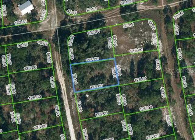 Property at 221 Fascination Dr, Lake Placid, FL 33852
