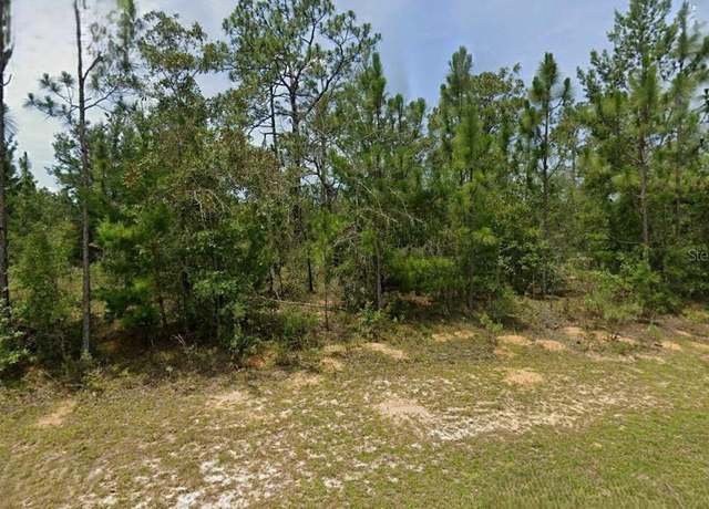 Property at Washington Blvd, Chipley, FL 32428
