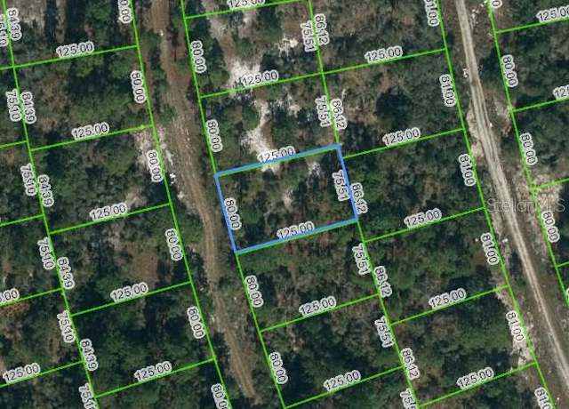 Property at 217 Blue Horizon Dr, Lake Placid, FL 33852
