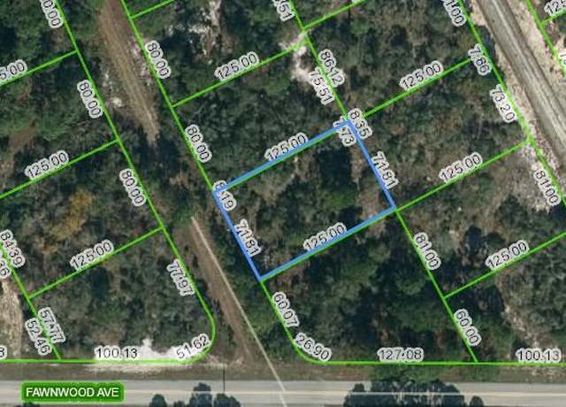 Property at 203 Blue Horizon Dr, Lake Placid, FL 33852