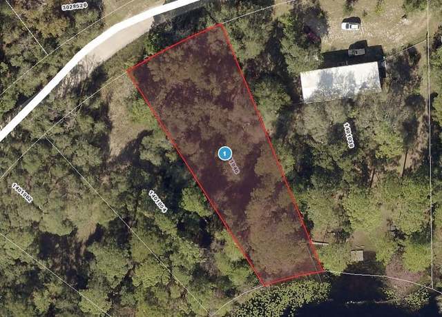 Property at Pine Valley Dr, Paisley, FL 32767