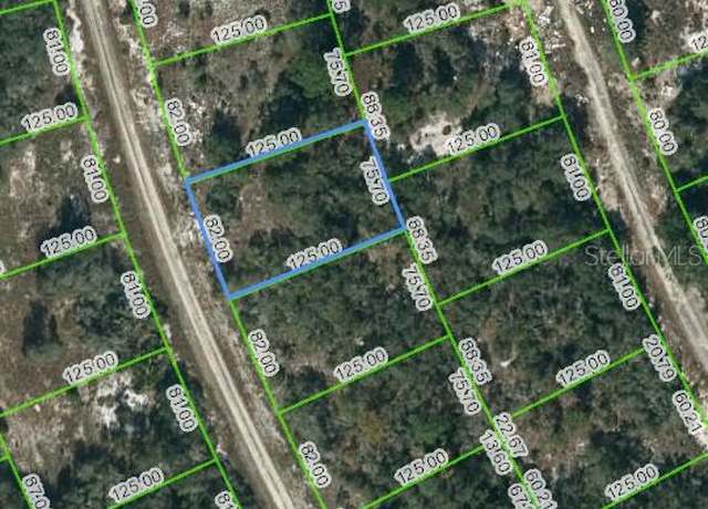 Property at 217 Blue Sky Dr, Lake Placid, FL 33852