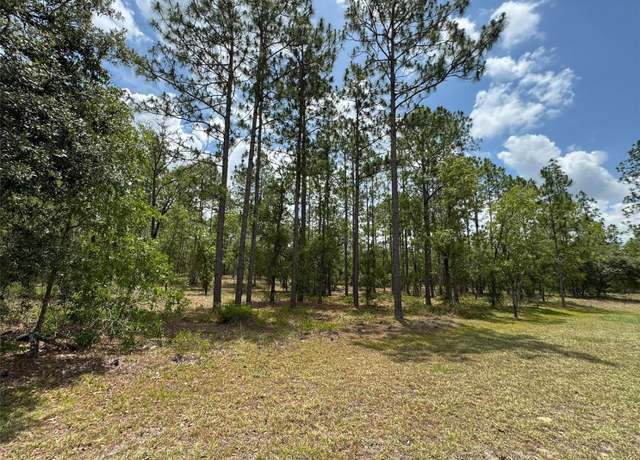 Property at Lot 15 SW Neptune Blvd, Dunnellon, FL 34431