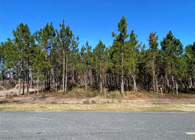 Property at 2988 SW CR 534, Mayo, FL 32066