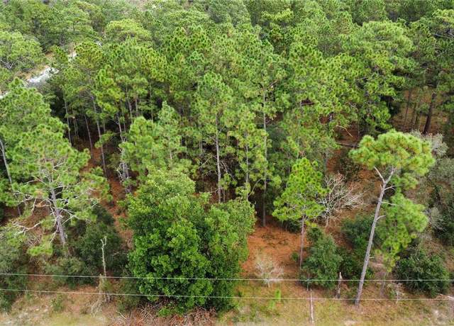 Property at TBD SW Sylvan Heights Rd, Dunnellon, FL 34431